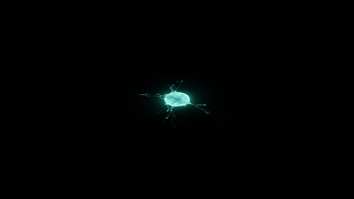 How AI Overviews, Featured Snippets, and Direct Answers Work — The Rise of Zero-Click Search and What It Means for Your Business